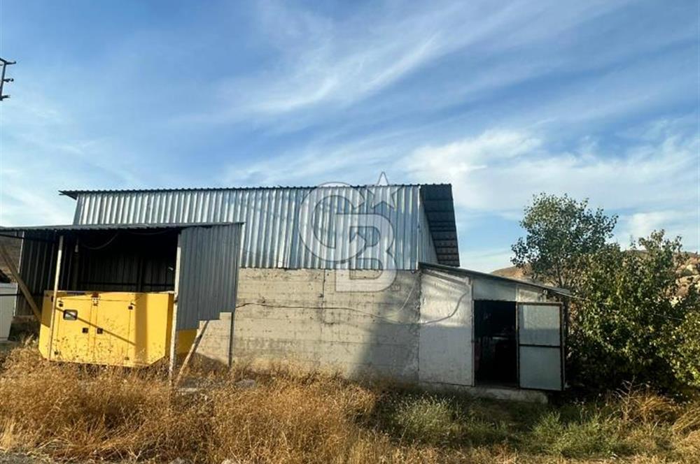 Çankırı Merkez'de Anahtar Teslim, Faal Tavuk Çiftliği!