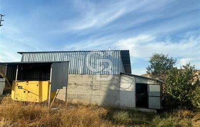 Çankırı Merkez'de Anahtar Teslim, Faal Tavuk Çiftliği!