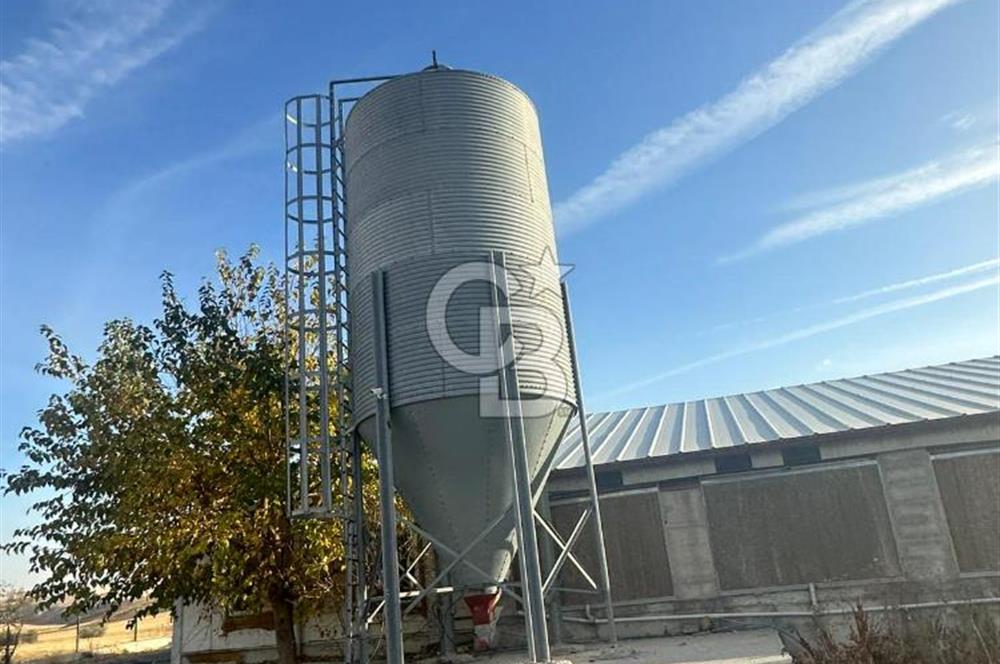 Çankırı Merkez'de Anahtar Teslim, Faal Tavuk Çiftliği!