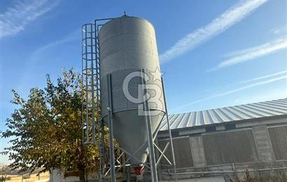 Çankırı Merkez'de Anahtar Teslim, Faal Tavuk Çiftliği!