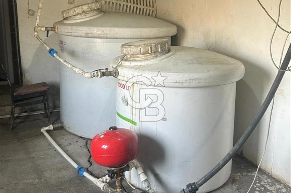 Çankırı Merkez'de Anahtar Teslim, Faal Tavuk Çiftliği!