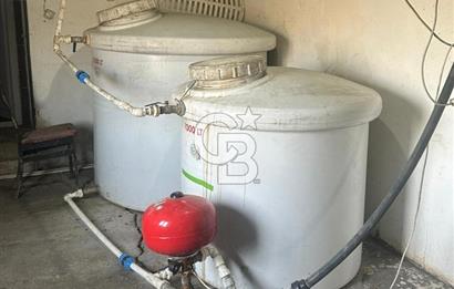 Çankırı Merkez'de Anahtar Teslim, Faal Tavuk Çiftliği!