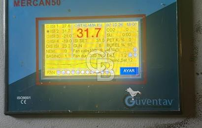 Çankırı Merkez'de Anahtar Teslim, Faal Tavuk Çiftliği!