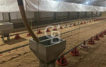 Çankırı Merkez'de Anahtar Teslim, Faal Tavuk Çiftliği!
