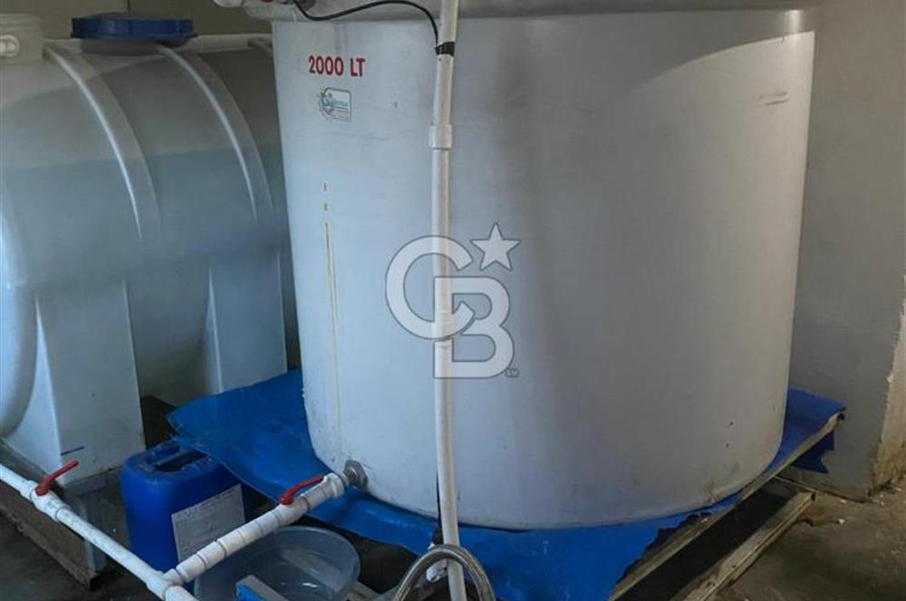 Çankırı Merkez'de Anahtar Teslim, Faal Tavuk Çiftliği!