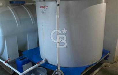 Çankırı Merkez'de Anahtar Teslim, Faal Tavuk Çiftliği!