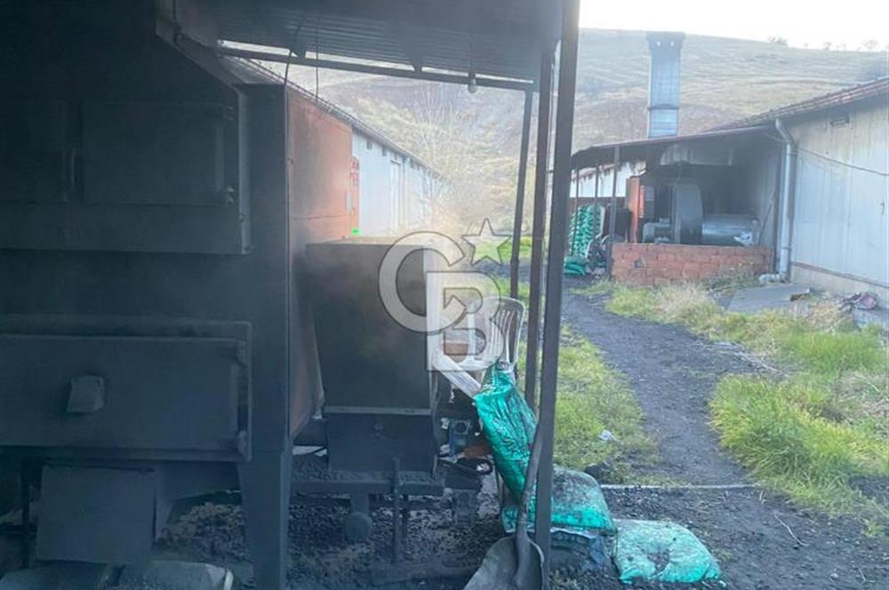 Çankırı Merkez'de Anahtar Teslim, Faal Tavuk Çiftliği!