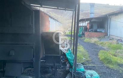 Çankırı Merkez'de Anahtar Teslim, Faal Tavuk Çiftliği!