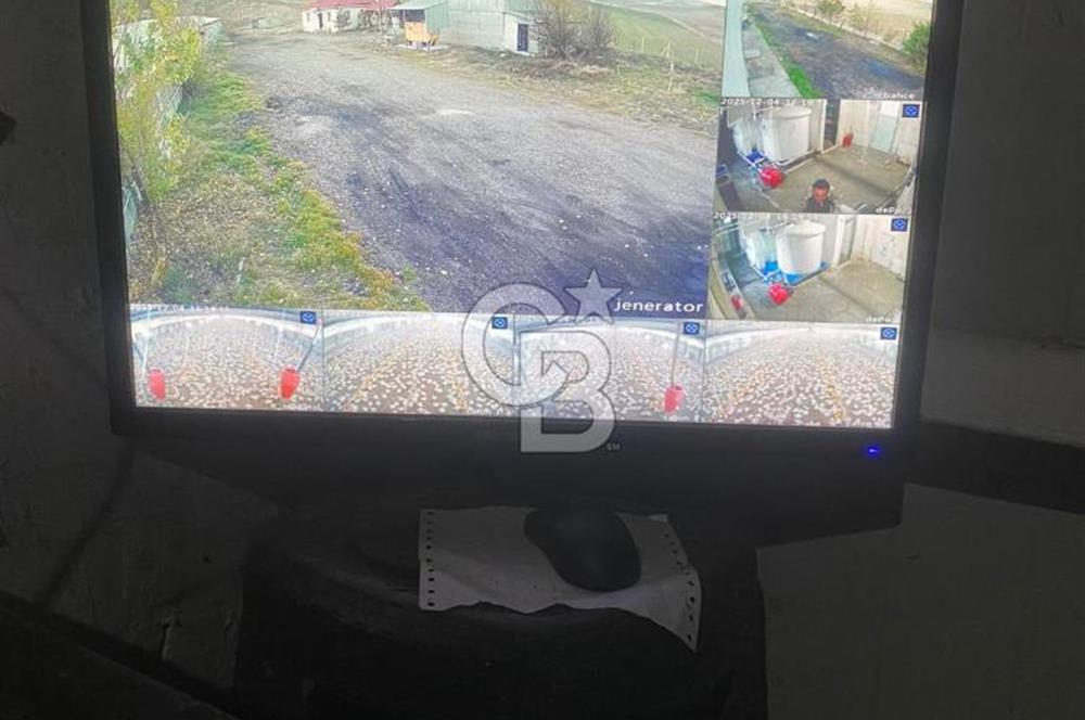 Çankırı Merkez'de Anahtar Teslim, Faal Tavuk Çiftliği!