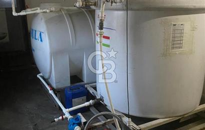 Çankırı Merkez'de Anahtar Teslim, Faal Tavuk Çiftliği!