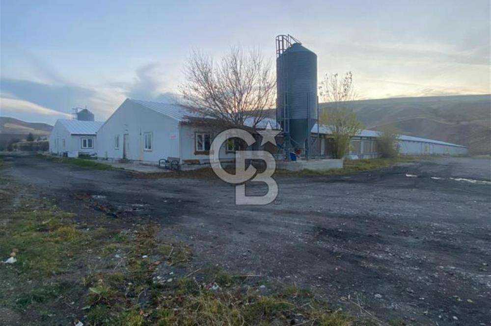 Çankırı Merkez'de Anahtar Teslim, Faal Tavuk Çiftliği!