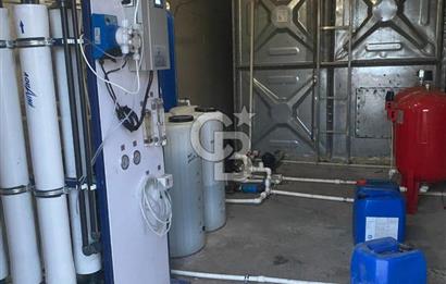 Çankırı Merkez'de Anahtar Teslim, Faal Tavuk Çiftliği!