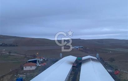 Çankırı Merkez'de Anahtar Teslim, Faal Tavuk Çiftliği!