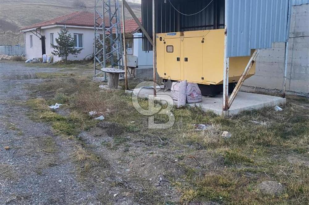 Çankırı Merkez'de Anahtar Teslim, Faal Tavuk Çiftliği!