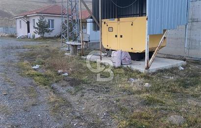 Çankırı Merkez'de Anahtar Teslim, Faal Tavuk Çiftliği!