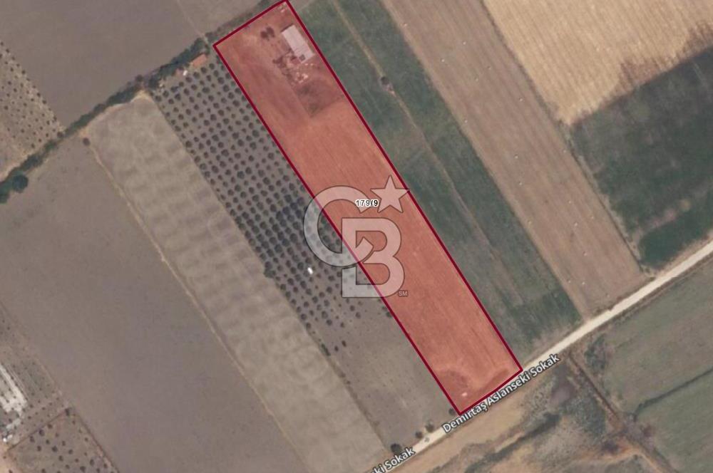C.B. ROUTE | DİKİLİ DEMİRTAŞ MAH. SATILIK TARLA