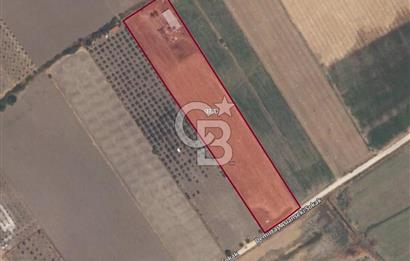 C.B. ROUTE | DİKİLİ DEMİRTAŞ MAH. SATILIK TARLA