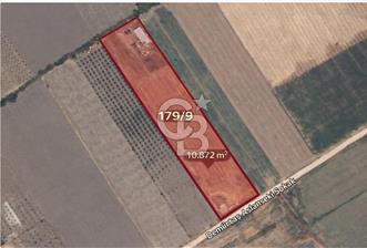 C.B. ROUTE | DİKİLİ DEMİRTAŞ MAH. SATILIK TARLA - 1 - 326253