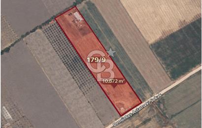 C.B. ROUTE | DİKİLİ DEMİRTAŞ MAH. SATILIK TARLA