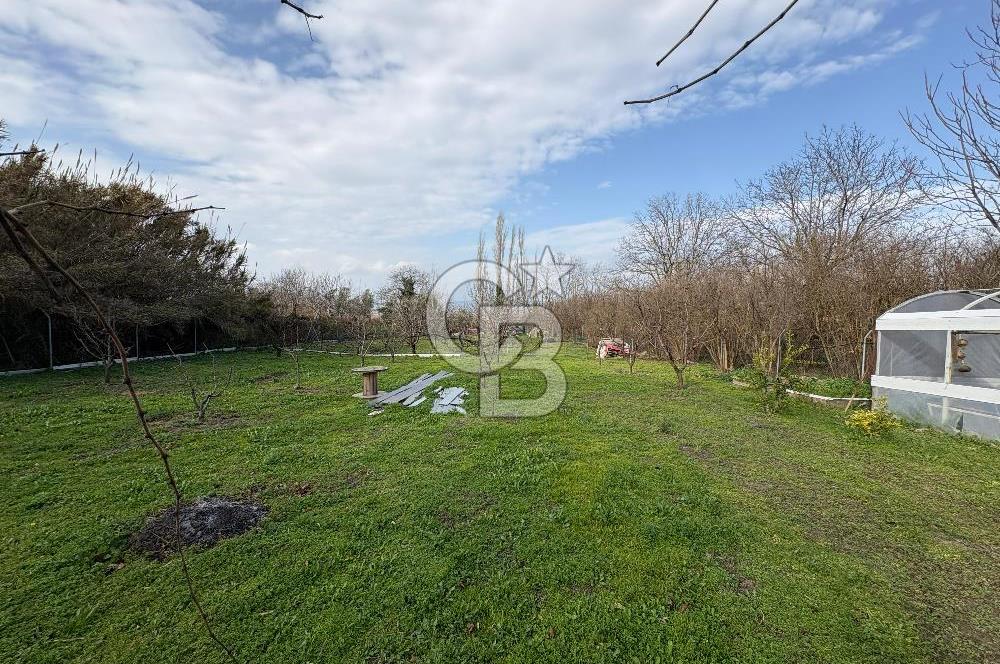 Çanakkale Lapseki Umurbey'de Satılık 1666 M² Hobi Bahçesi! 