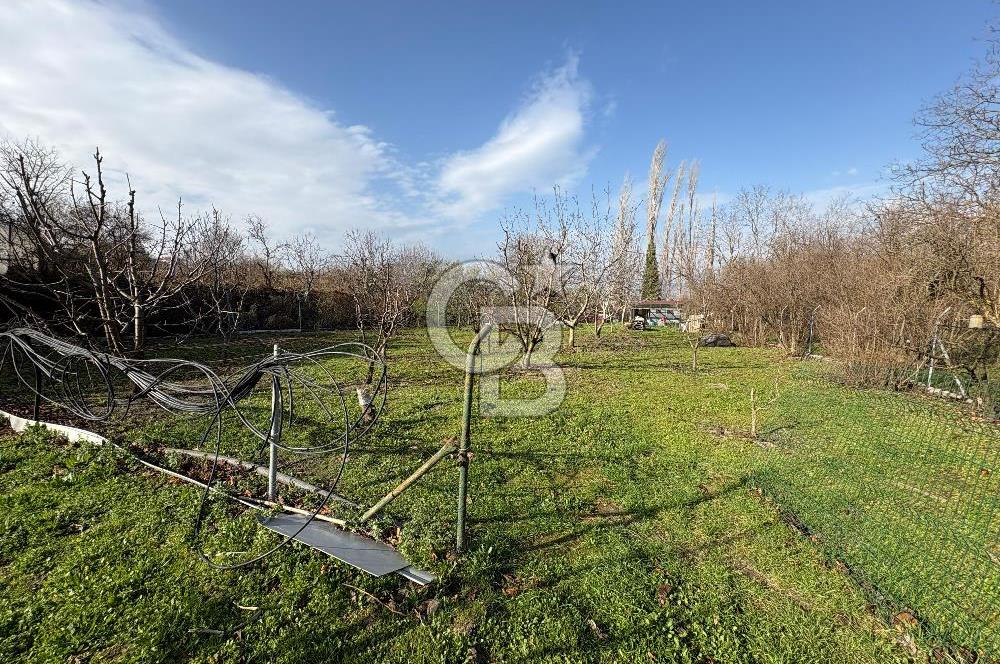 Çanakkale Lapseki Umurbey'de Satılık 1666 M² Hobi Bahçesi! 