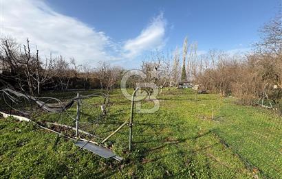 Çanakkale Lapseki Umurbey'de Satılık 1666 M² Hobi Bahçesi! 