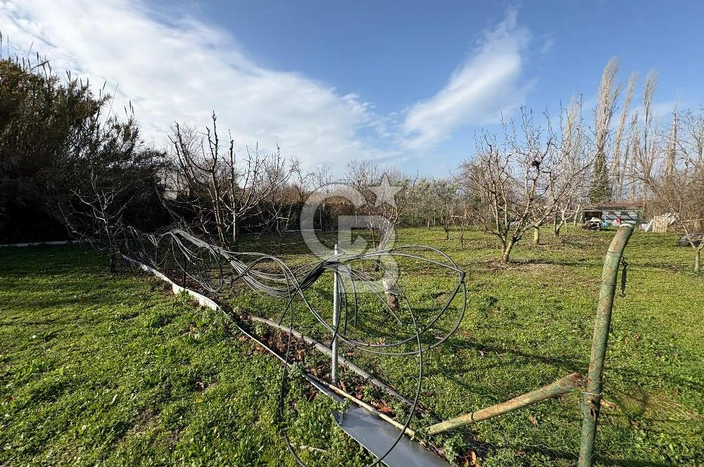 Çanakkale Lapseki Umurbey'de Satılık 1666 M² Hobi Bahçesi! 