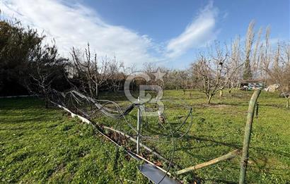 Çanakkale Lapseki Umurbey'de Satılık 1666 M² Hobi Bahçesi! 