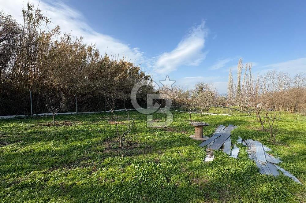 Çanakkale Lapseki Umurbey'de Satılık 1666 M² Hobi Bahçesi! 
