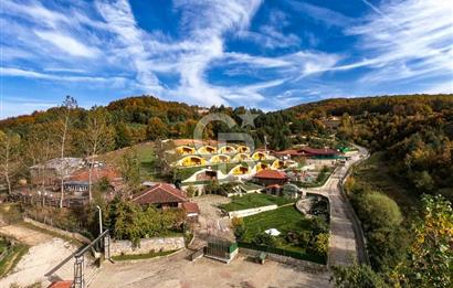 CB CLASS İZNİKTE DOĞA KONSEPTLİ AKTİF GETİRİLİ DAĞ EVLERİ TESİSİ