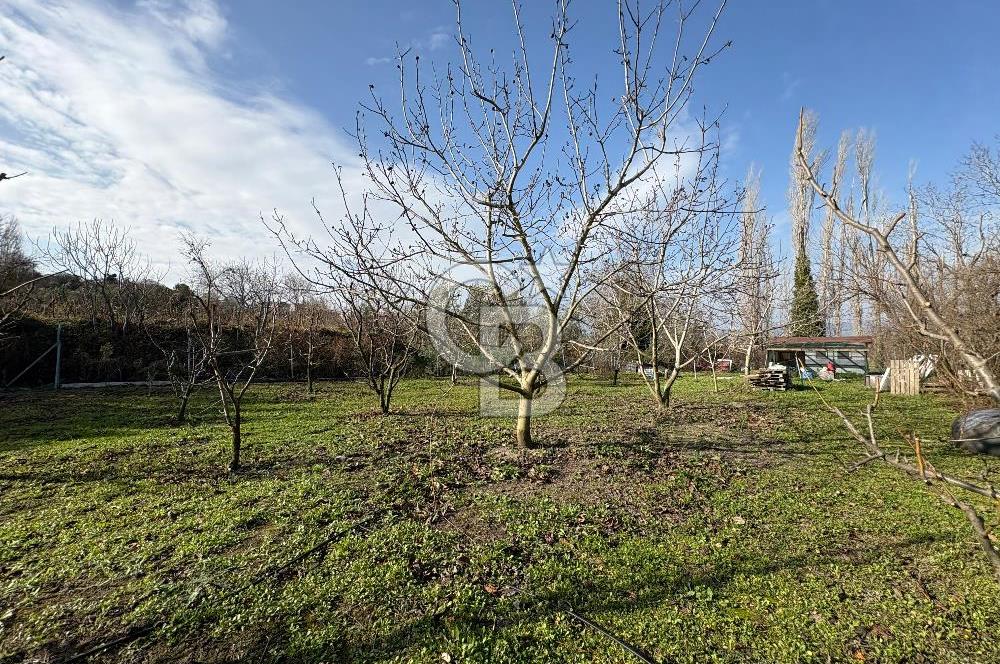 Çanakkale Lapseki Umurbey'de Satılık 1666 M² Hobi Bahçesi! 