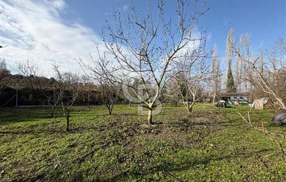 Çanakkale Lapseki Umurbey'de Satılık 1666 M² Hobi Bahçesi! 