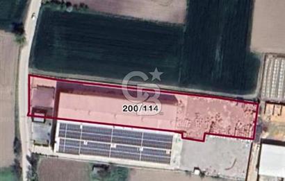 CB KİNG'DEN BALIKESİR/KÖSELER MAHALLESİ SATILIK FABRİKA