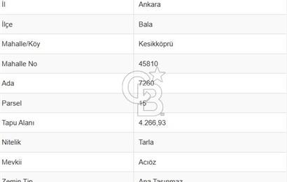 BALA DA 4266 M2 SATILIK TEK TAPU TARLA
