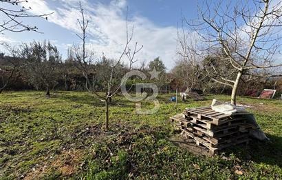 Çanakkale Lapseki Umurbey'de Satılık 1666 M² Hobi Bahçesi! 