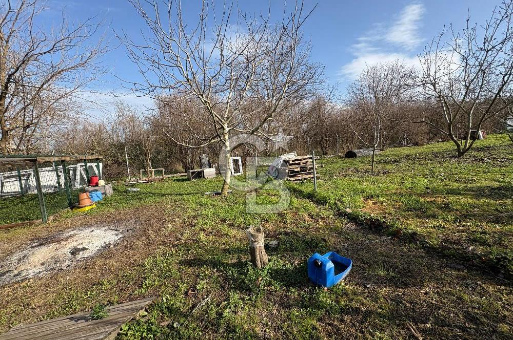 Çanakkale Lapseki Umurbey'de Satılık 1666 M² Hobi Bahçesi! 