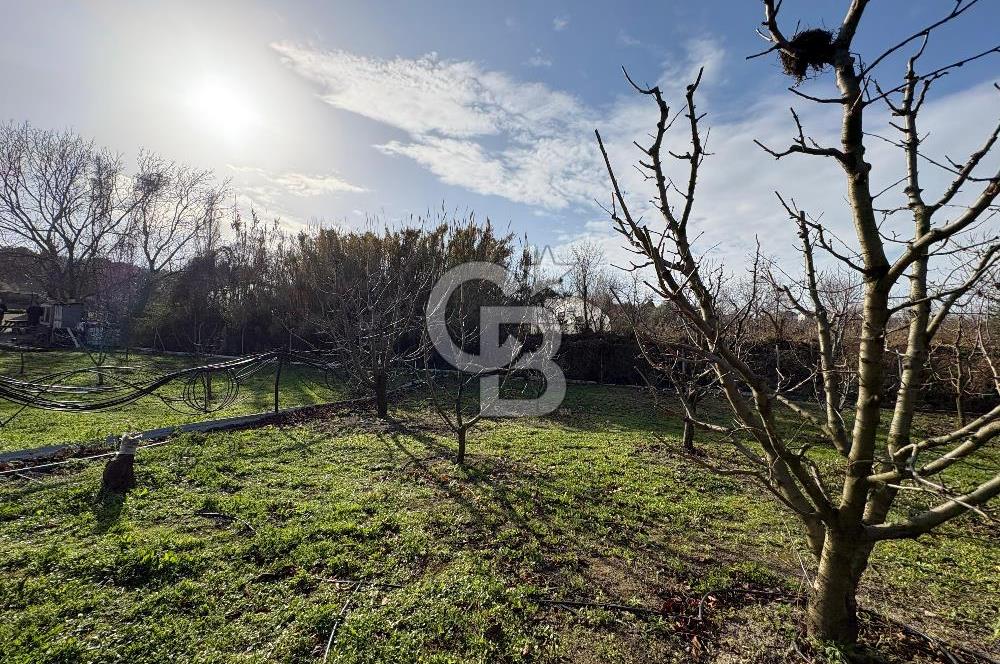 Çanakkale Lapseki Umurbey'de Satılık 1666 M² Hobi Bahçesi! 