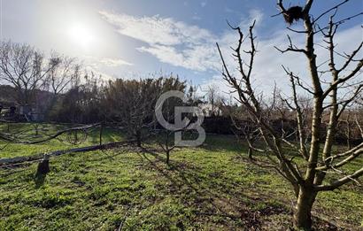 Çanakkale Lapseki Umurbey'de Satılık 1666 M² Hobi Bahçesi! 