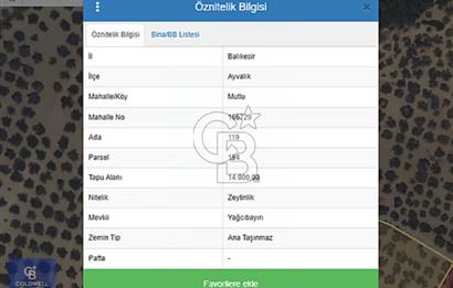 AYVALIK MUTLU KÖY 14 DÖNÜM TEL ÖRGÜLÜ YOL CEPHELİ 160 AĞAÇ
