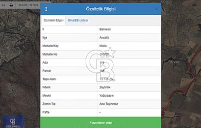 AYVALIK MUTLU KÖYÜ 13,8DÖNÜM TELLE ÇEVRİLİ YOL CEPHELİ 120 AĞAÇ