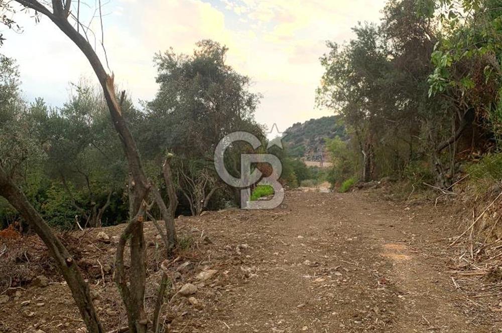 DÖŞEMEALTI EKŞİLİ'de 400 metre İMARLI ARSA