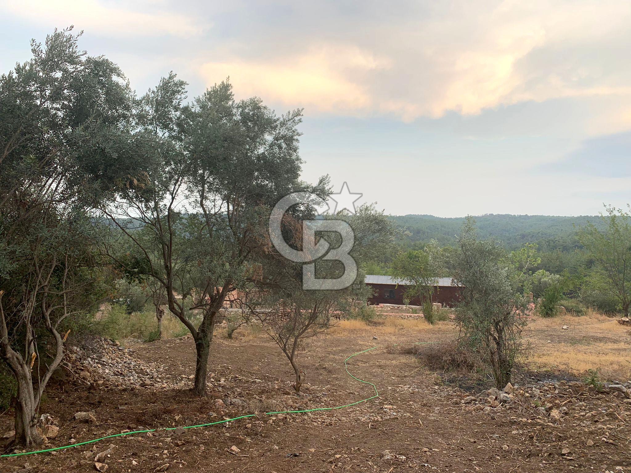 DÖŞEMEALTI EKŞİLİ'de 400 metre İMARLI ARSA