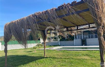 Urla Zeytineli Köyünde Denize 600m Mesafede Satılık Tarla