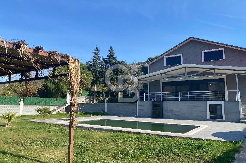 Urla Zeytineli Köyünde Denize 600m Mesafede Satılık Tarla