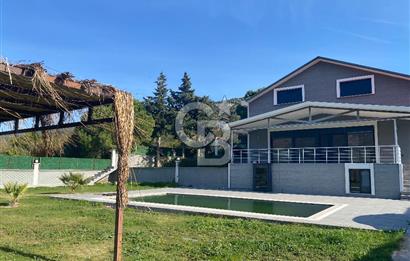 Urla Zeytineli Köyünde Denize 600m Mesafede Satılık Tarla