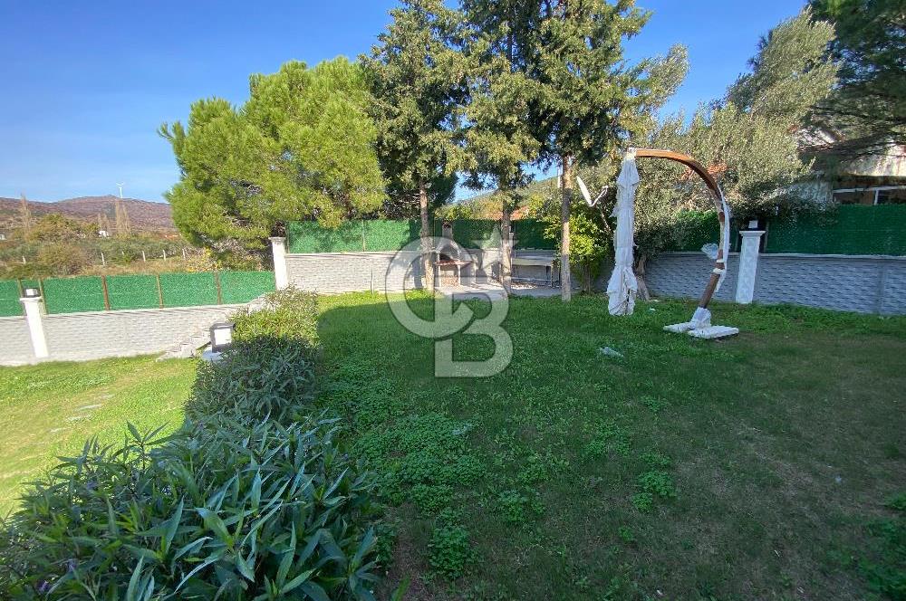 Urla Zeytineli Köyünde Denize 600m Mesafede Satılık Tarla