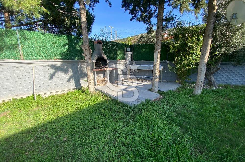 Urla Zeytineli Köyünde Denize 600m Mesafede Satılık Tarla