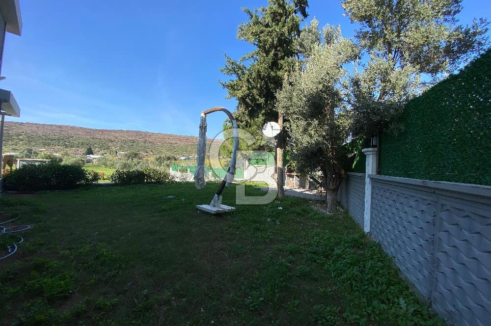 Urla Zeytineli Köyünde Denize 600m Mesafede Satılık Tarla