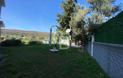 Urla Zeytineli Köyünde Denize 600m Mesafede Satılık Tarla