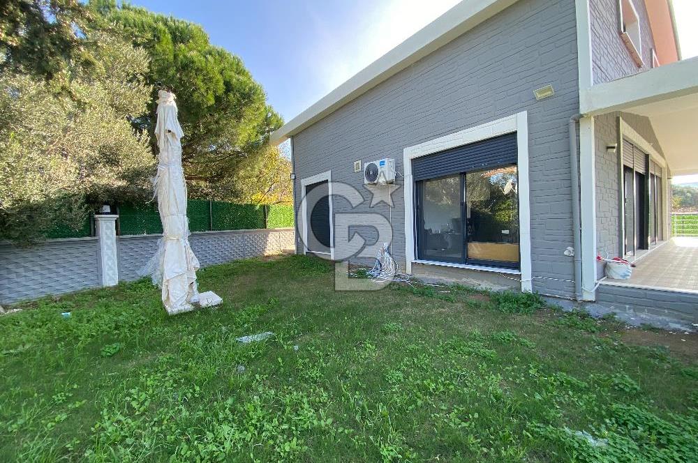 Urla Zeytineli Köyünde Denize 600m Mesafede Satılık Tarla